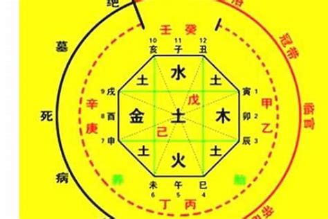 八字免費算|生辰八字算命、五行喜用神查詢（免費測算）